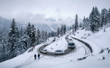 north india tour home